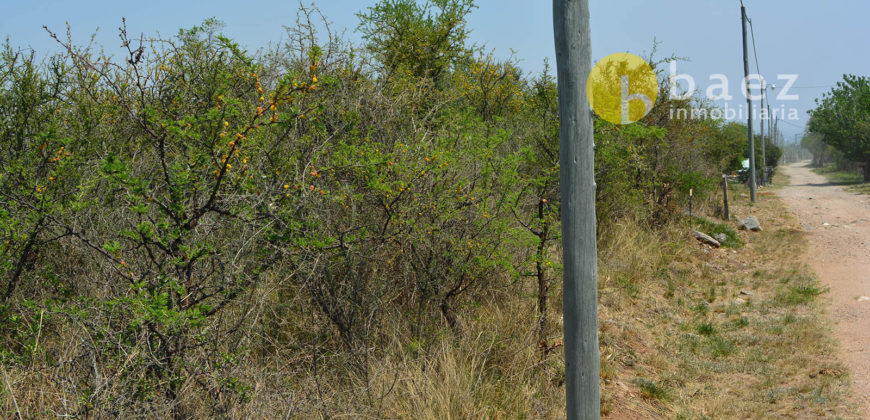 LOTES DE 2500M2 Y 2900M2 EN CARPINTERÍA