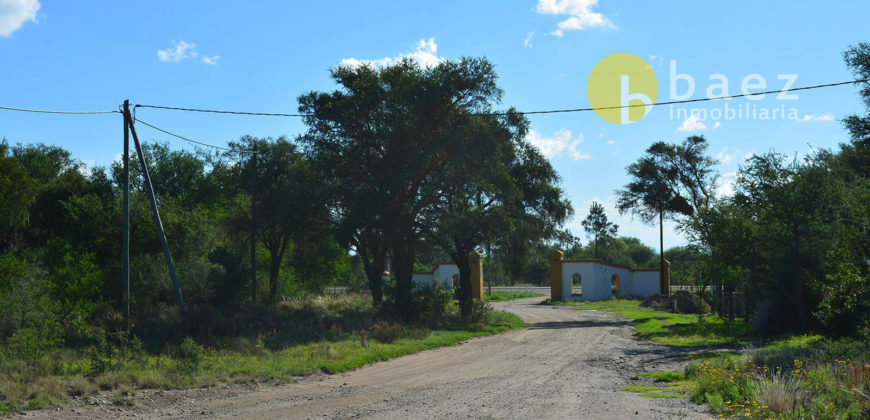 LOTE DE 1900M2 EN CARPINTERÍA