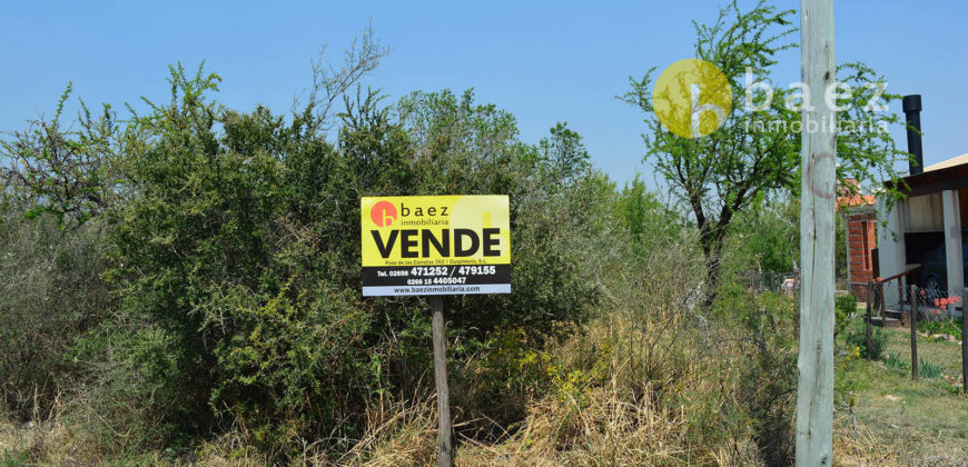 LOTES DE 1130M2 EN CARPINTERÍA