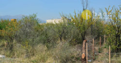 LOTES DE 1130M2 EN CARPINTERÍA