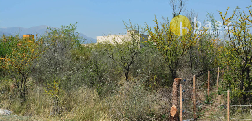 LOTES DE 1130M2 EN CARPINTERÍA