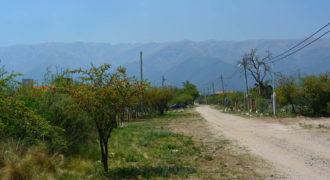 LOTES DE 1130M2 EN CARPINTERÍA