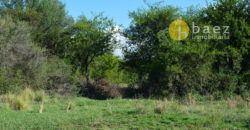 LOTE DE 2986M2 EN CARPINTERÍA SOBRE RUTA N°1