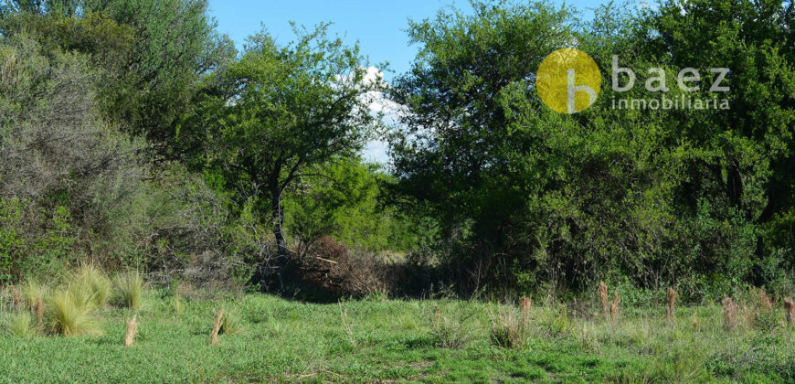 LOTE DE 2986M2 EN CARPINTERÍA SOBRE RUTA N°1