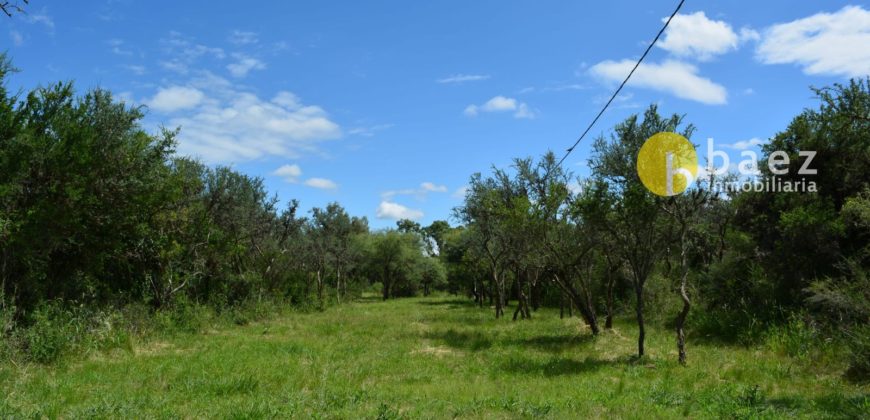 LOTES DE 1000M2 EN CERRO DE ORO MERLO