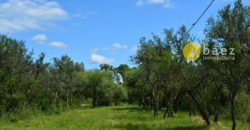 LOTES DE 1000M2 EN CERRO DE ORO MERLO