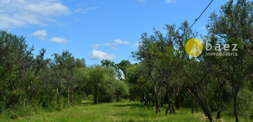 LOTES DE 1000M2 EN CERRO DE ORO MERLO