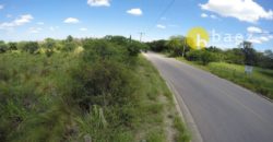 LOTE DE 5925M2 EN CARPINTERÍA