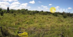 LOTE DE 5925M2 EN CARPINTERÍA