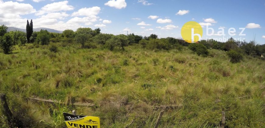 LOTE DE 5925M2 EN CARPINTERÍA