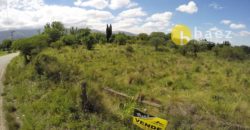 LOTE DE 5925M2 EN CARPINTERÍA