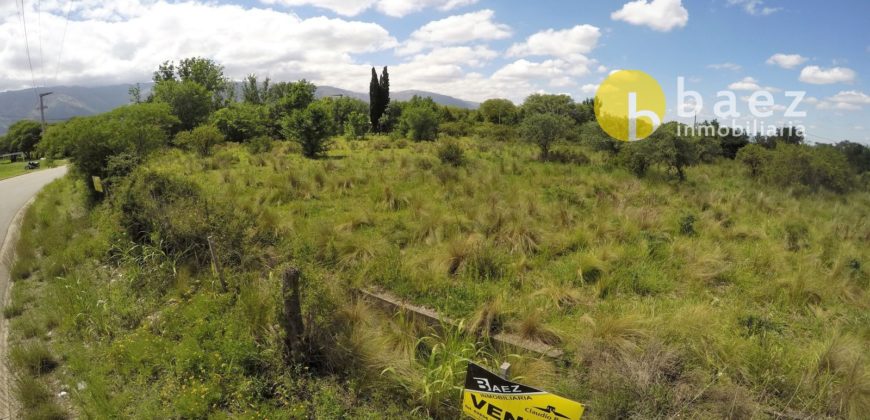 LOTE DE 5925M2 EN CARPINTERÍA