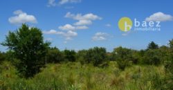 LOTE DE 5925M2 EN CARPINTERÍA