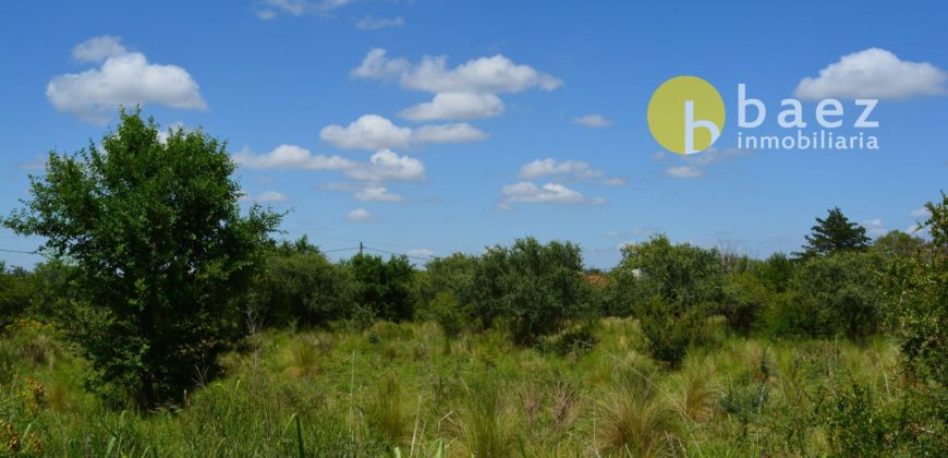 LOTE DE 5925M2 EN CARPINTERÍA