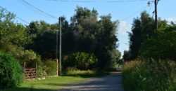 LOTE DE 1364M2 EN MERLO