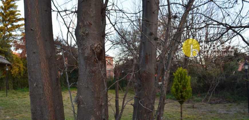 CASA EN CARPINTERÍA