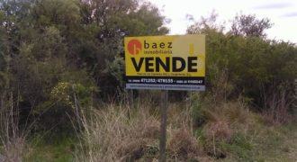 LOTE DE 1430 M2 EN CARPINTERÍA