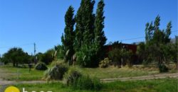 LOTE DE 600M2 SOBRE RUTA N º 1 EN CARPINTERÍA