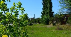 LOTE DE 600M2 SOBRE RUTA N º 1 EN CARPINTERÍA