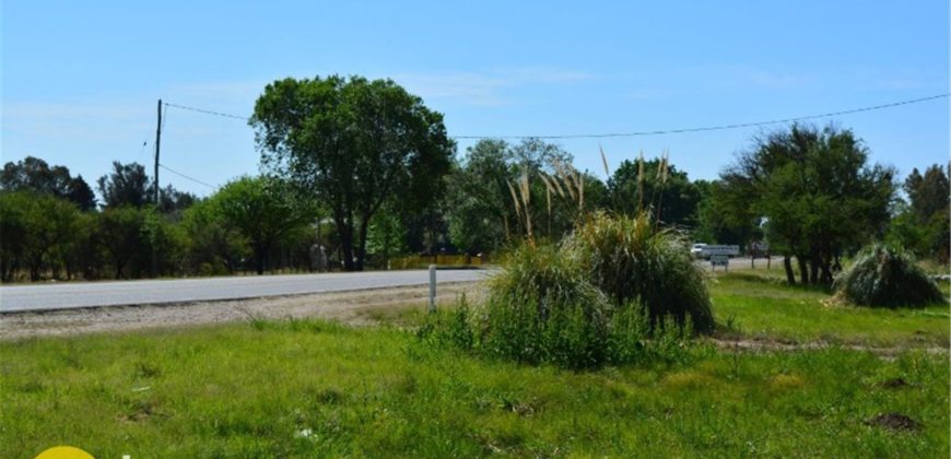 LOTE DE 600M2 SOBRE RUTA N º 1 EN CARPINTERÍA