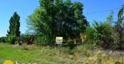 LOTE DE 600M2 SOBRE RUTA N º 1 EN CARPINTERÍA