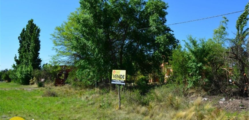 LOTE DE 600M2 SOBRE RUTA N º 1 EN CARPINTERÍA