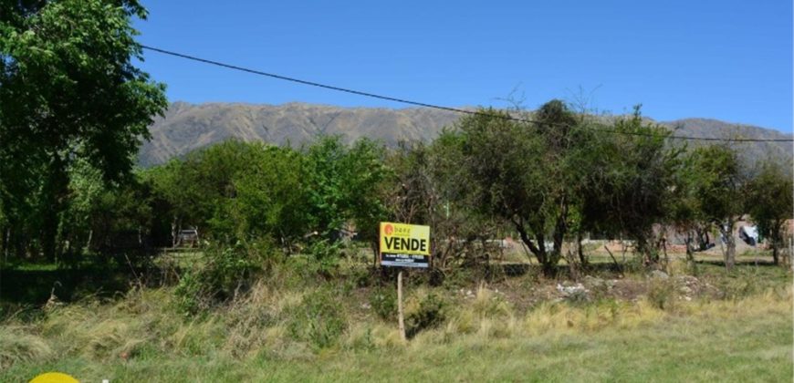 LOTE DE 600M2 SOBRE RUTA N º 1 EN CARPINTERÍA