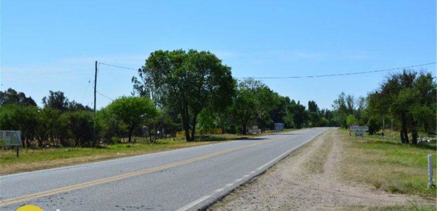 LOTE DE 600M2 SOBRE RUTA N º 1 EN CARPINTERÍA