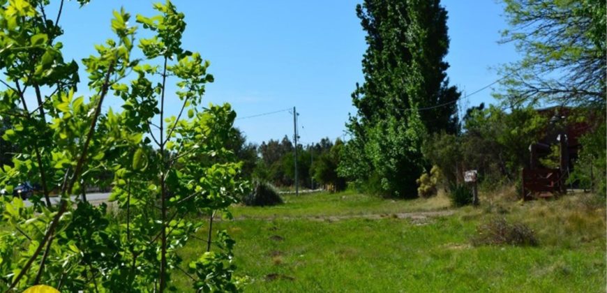LOTE DE 600M2 SOBRE RUTA N º 1 EN CARPINTERÍA