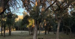 LOTE DE 1022M2 EN CARPINTERÍA