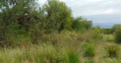 LOTE DE 1430 M2 EN CARPINTERÍA