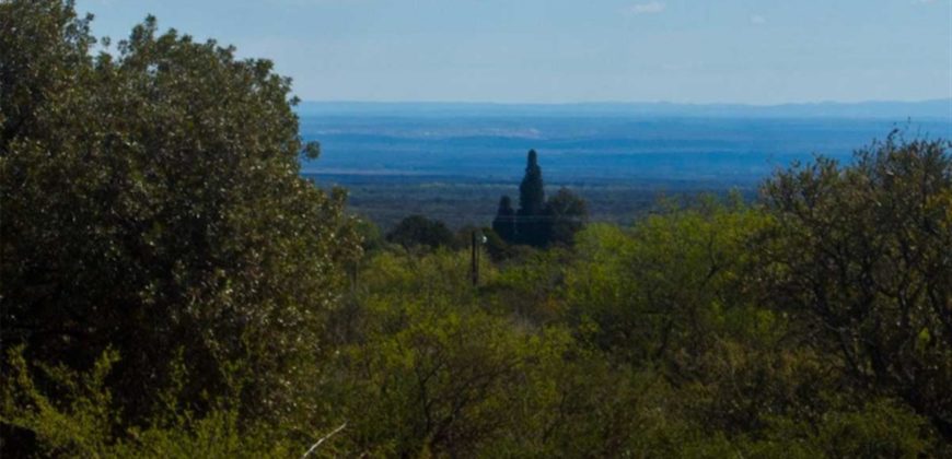 CASA EN CARPINTERÍA