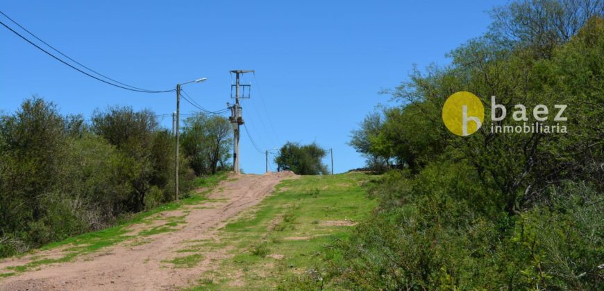 LOTEO LOMA INDIA EN CORTADERAS