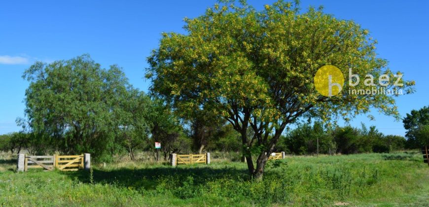 LOTES DE 944M2 EN LOTEO EL DIQUE, CORTADERAS