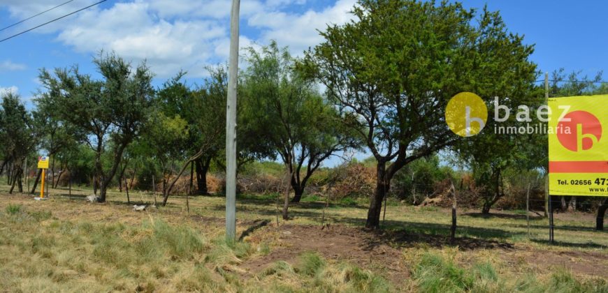 LOTE DE 1000M2 SOBRE RUTA N°1