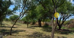 LOTE DE 1000M2 SOBRE RUTA N°1