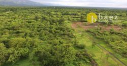 LOTE DE 1500M2 EN LOTEO RAÍCES NATIVAS