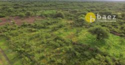LOTE DE 1500M2 EN LOTEO RAÍCES NATIVAS