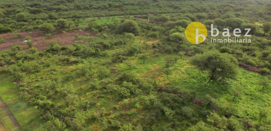 LOTE DE 1500M2 EN LOTEO RAÍCES NATIVAS