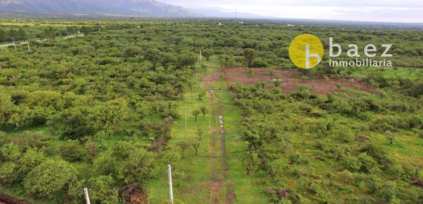 LOTE DE 1500M2 EN LOTEO RAÍCES NATIVAS