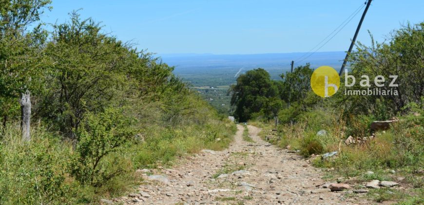LOTE DE 5000M2 EN CARPINTERIA