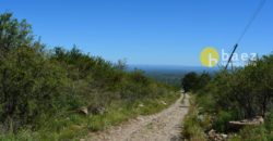 LOTE DE 5000M2 EN CARPINTERIA
