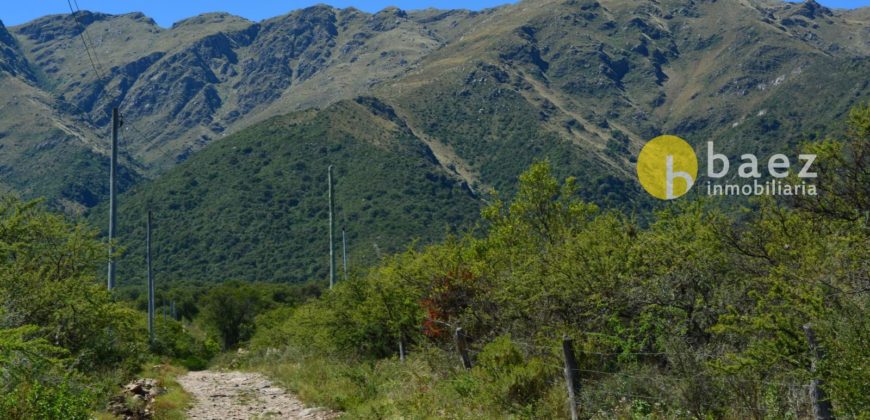 LOTE DE 5000M2 EN CARPINTERIA
