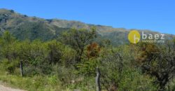 LOTE DE 5000M2 EN CARPINTERIA
