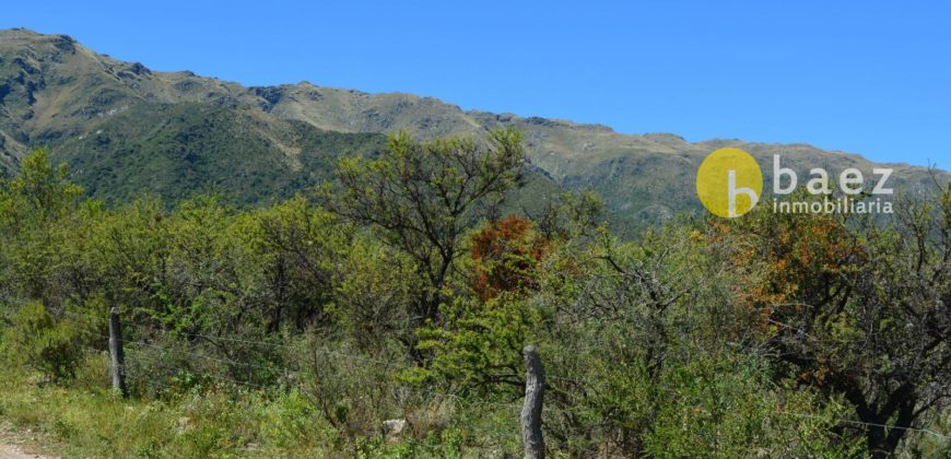 LOTE DE 5000M2 EN CARPINTERIA