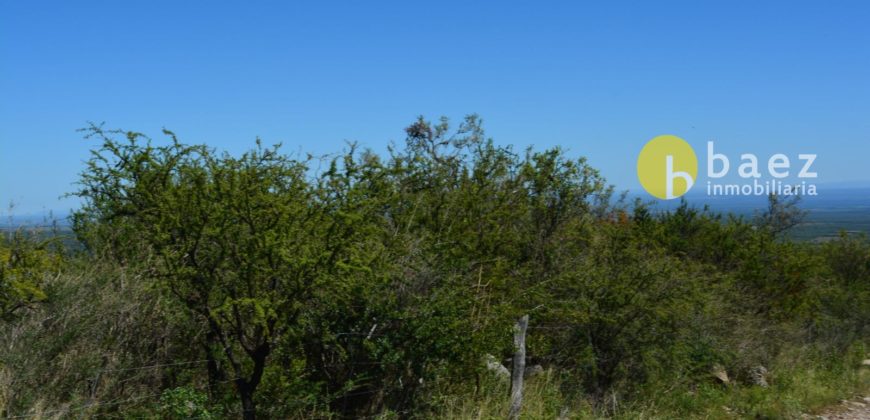 LOTE DE 5000M2 EN CARPINTERIA