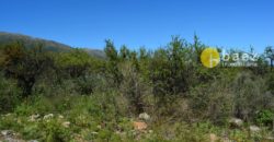 LOTE DE 5000M2 EN CARPINTERIA
