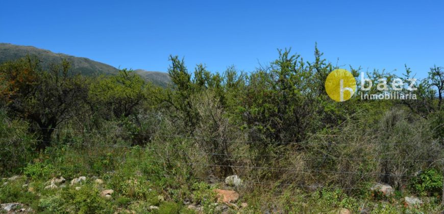 LOTE DE 5000M2 EN CARPINTERIA
