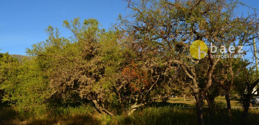 LOTES CÉNTRICOS DE 800M2 EN MERLO