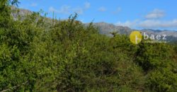LOTE DE 1.000M2 SOBRE RUTA N 1